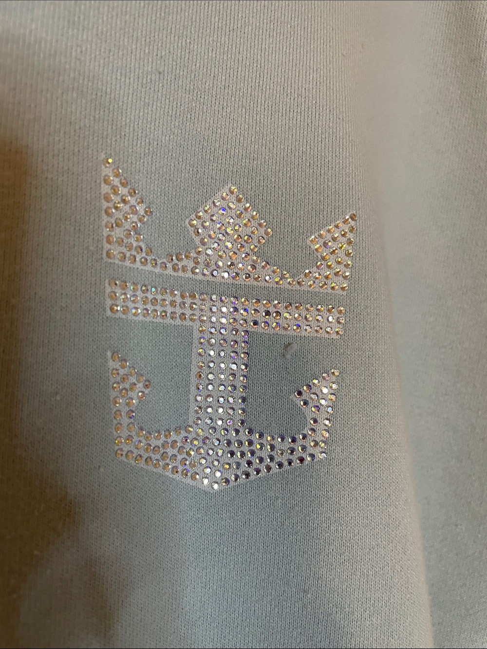 Light Blue Full-Zip Hoodie with RCCL Crown Logo - Picture 3 of 5